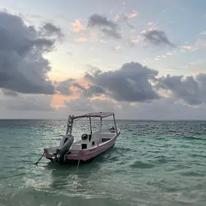 Affittacamere Home's Jungle Puerto Morelos 20 Minutes From The Airport