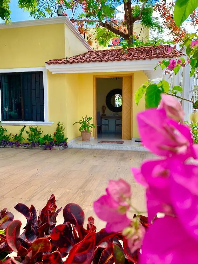 ** Hotel La Casa De Los Alcatraces Cancún Mexique